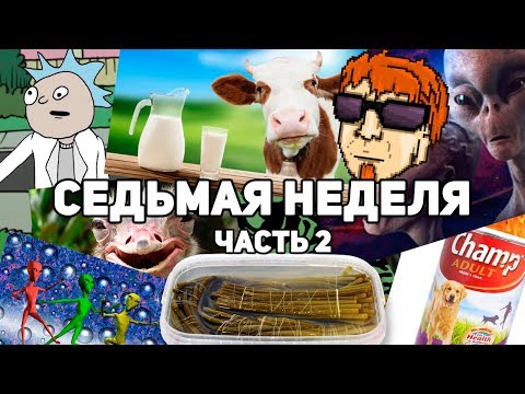 Видео: Седьмая неделя (2/2)