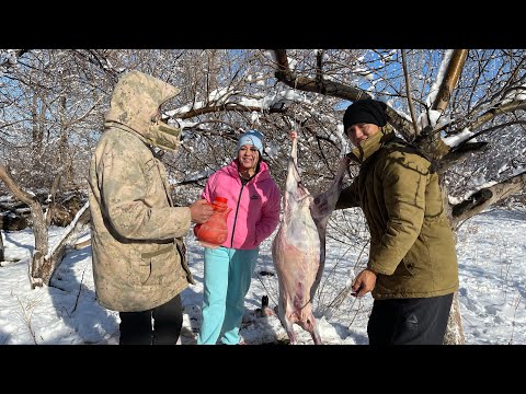 Видео: КАЗАХСТАН ! Режем БАРАНА ! Домашний БЕШБАРМАК . Делаем кумыс ! Традиции казахов . АУЛ!