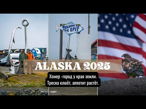 Видео: Аляска. День 6: Хомер — рыбалка на треску и виды на миллион.