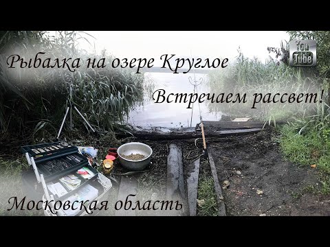 Видео: Рыбака на озере Круглое  Встречаем рассвет, Готовим прикормку Дешево! Химки, Московская область