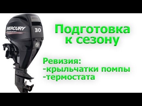 Видео: Расконсервация, ревизия помпы и термостата 4т ПЛМ Mercury EFI