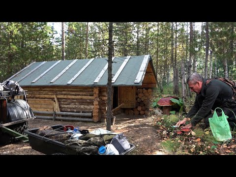 Видео: Отпуск в охотничьей избушке. Начало.