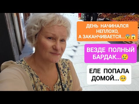 Видео: 231НАЧИНАЛОСЬ НЕПЛОХО,А ПОТОМ.ДОМОЙ ЕЛЕ ПОПАЛА ТОЛЬКО К ВЕЧЕРУ #испания #життя #жизнь #животные #как