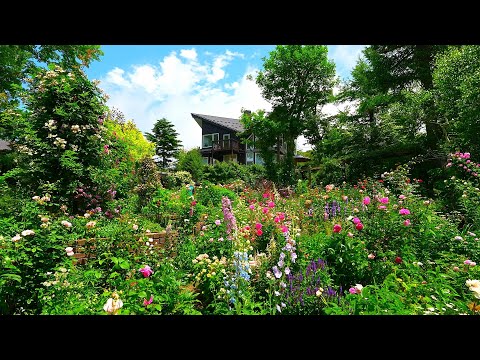 Видео: Tsukahara Residence MF Garden, открытый сад с видом на гору Фудзи