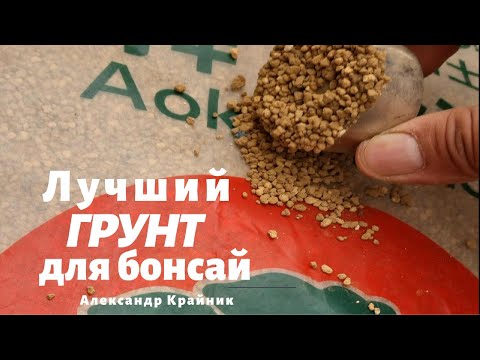Видео: Идеальный грунт для бонсай — секреты от мастера!