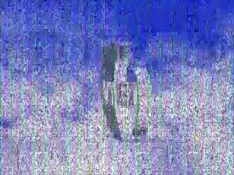 Видео: Смена логотипа рен тв в 2006 году