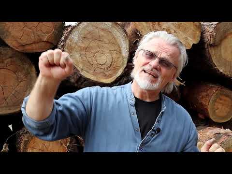 Видео: Как попасть рыбе в глаз.