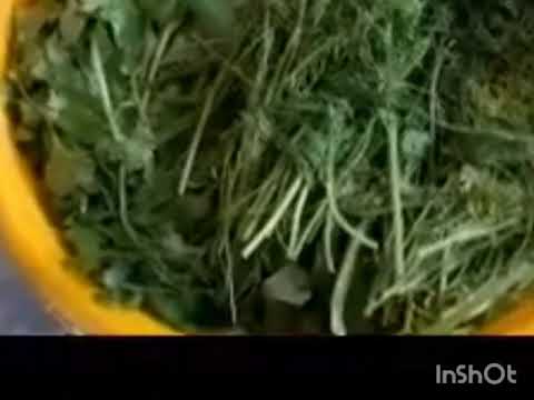 Видео: Вкуснейшее блюдо горских евреев " Тара".Всем советую попробовать!! 🤗🤗