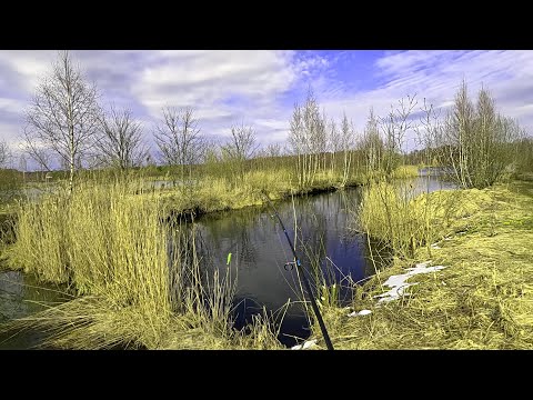 Видео: БАТЛ ДВУХ ВОБЛЕРОВ НА ЩУЧЬИХ ОЗЁРАХ !!! Рыбалка весной 2025 на спиннинг