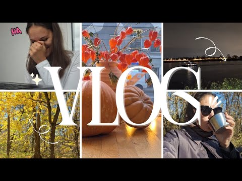 Видео: дни со мной: рутина, прогулки, медитации, работа 