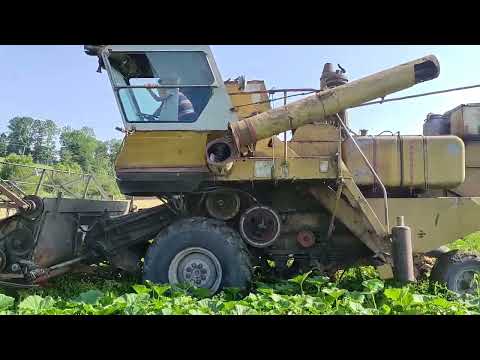 Видео: 05/08/2025. Жнива🔥🔥🔥 Продовження!!!