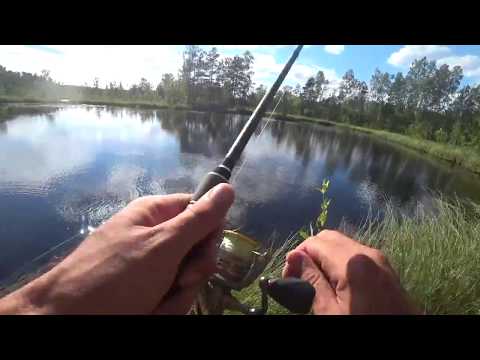 Видео: Рыбалка Щука Синявинские карьеры Ты не поверишь часть 2
