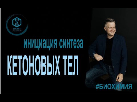 Видео: Биохимия: Инициация синтеза кетоновых тел