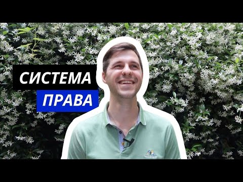 Видео: ТГП || 10. Система права