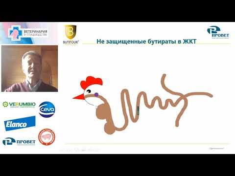 Видео: Александр Брылин. Комплексное решение проблем желудочно-кишечного тракта, сальмонеллеза...