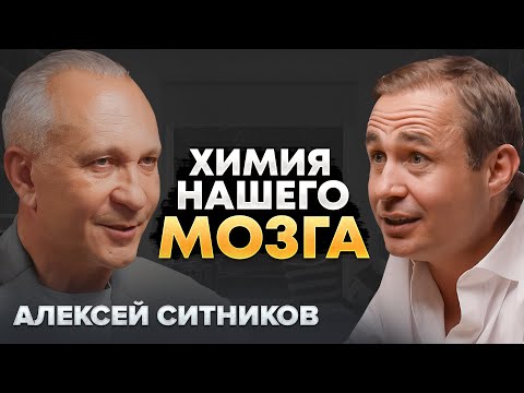 Видео: Как гормоны нас формируют? Секреты мозга | Алексей Ситников