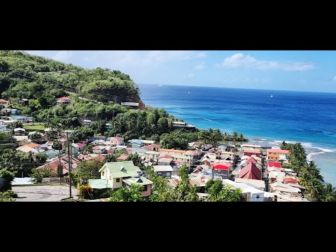 Видео: Карибские острова