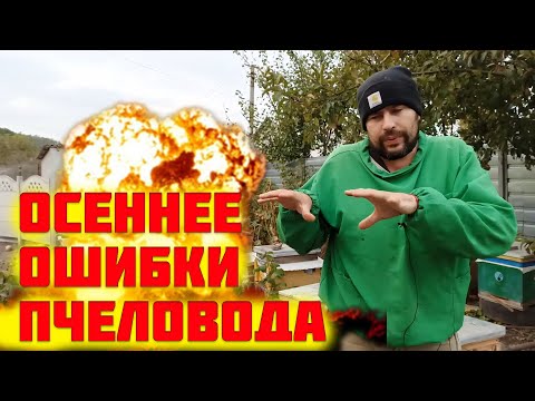 Видео: Осенние ошибки пчеловода. Что нужно пчеловоду в первую очередь осенью на пасеке