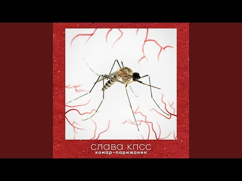 Видео: Купидоны