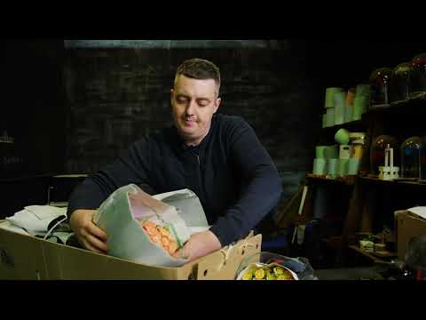 Видео: Кустовая Роза, 50 и 70 см • Плантация Red Lands • Кения