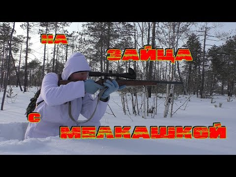 Видео: 22lr / ОХОТА НА ЗАЙЦА