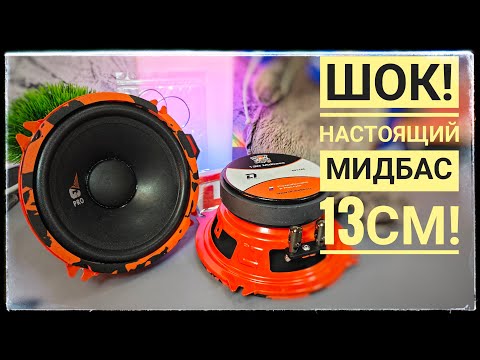 Видео: Эта новинка шокировала меня! Обзор DL Audio Gryphon Pro 130 midbass