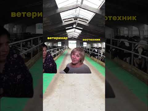 Видео: Ищите на Direct.Farm статью «Эффективность вакцинации коров против мастита»
