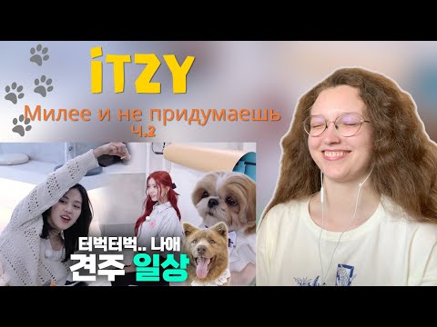 Видео: ПРЕЛЕСТНЫЕ КОМПАНЬОНЫ ❁ IT'ZZZ EP.10 | Living as a companion of puppies