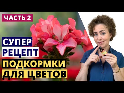 Видео: Чудодейственная Подкормка. ЙОД для Пеларгонии. ЙОД для растений.