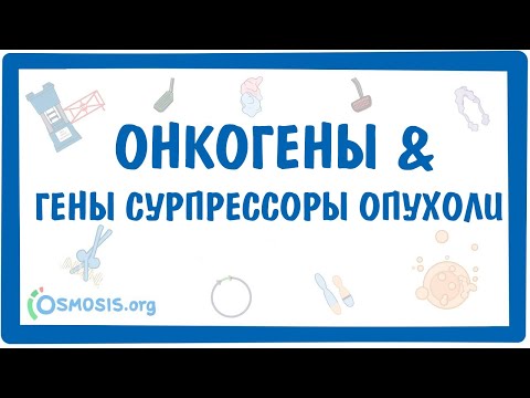 Видео: Онкогены и гены-супрессоры опухоли
