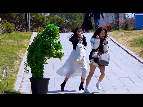 Видео: Корейские девушки очень удивлены! розыгрыш бушмена