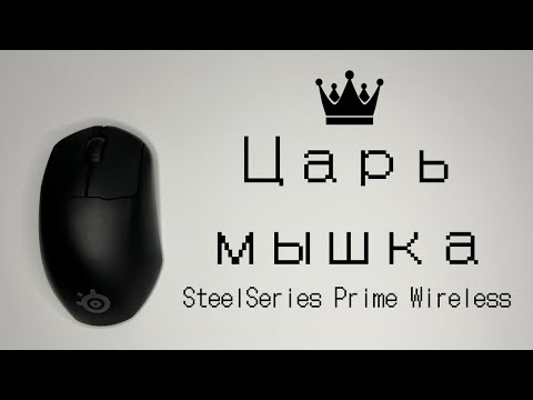 Видео: Обзор на игровую мышь SteelSeries Prime Wireless!!! Беспроводной монстр для ладонного хвата.