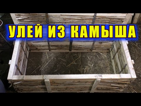Видео: ВУЛИК З ОЧЕРЕТУ. УЛЕЙ ИЗ КАМЫША. REED HIVE.