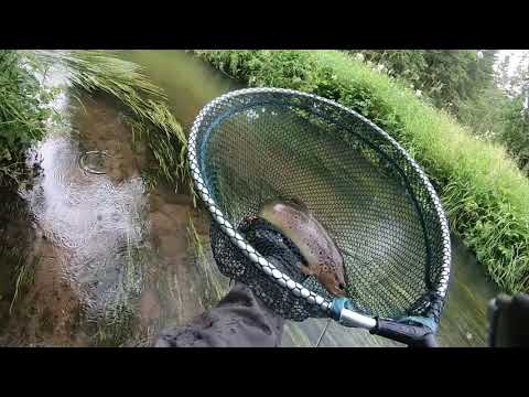 Видео: Fly Fishing Нахлыст, Форель и Хариус, рыбалка на маленьких реках. Trout & Grayling.