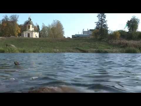 Видео: "Гостилицы. Руины памяти", автор Елена Михайлова