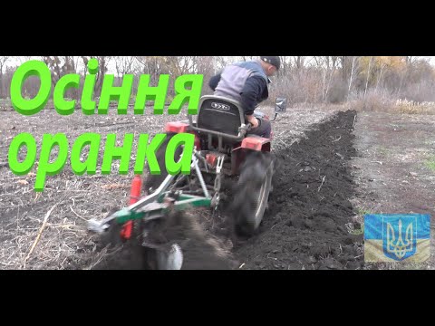 Видео: Оранка на зяб #СамСобіПан