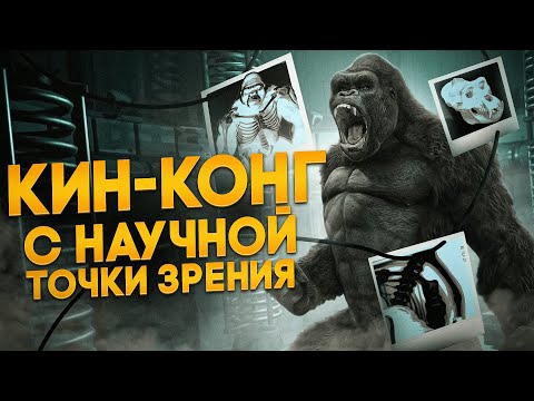Видео: Может ли существовать млекопитающее размером с Кинг-Конга?