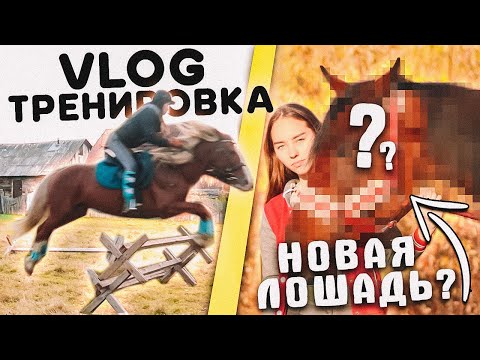 Видео: VLOG Конная Тренировка ПРЫГАЕМ // 2 дня в конюшне