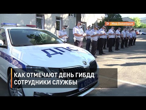 Видео: Как отмечают День ГИБДД сотрудники службы