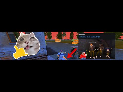 Видео: Учу аркашу разминки