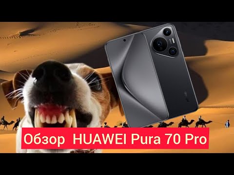 Видео: Обзор плюсов и минусов Huawei Pura 70 Pro - гадкий утёнок?