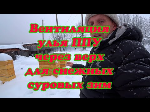 Видео: ЗИМОВКА ПЧЁЛ В ППУ С ВЕРХНЕЙ ВЕНТИЛЯЦИЕЙ, ПРИМЕР УЛЬИ РУТА