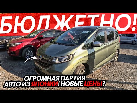 Видео: НОВЫЕ ЦЕНЫ😱ЧТО ПРОИЗОШЛО С КУРСОМ⁉️БЮДЖЕТНЫЕ АВТО ИЗ ЯПОНИИ🔥ОГРОМНОЕ ПРИБЫТИЕ АВТОМОБИЛЕЙ
