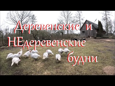 Видео: Хватит лениться! Жизнь на Лесном Хуторе.