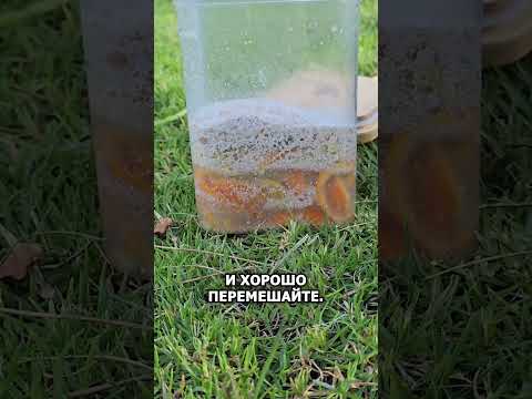 Видео: Смотри, мощное удобрение для твоего огорода#агро #фермер #огород #удобрения #рассада