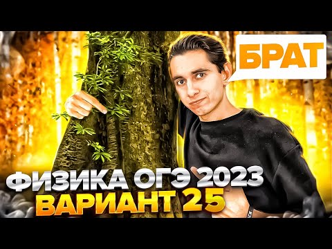Видео: ФИЗИКА ОГЭ 2023 ВАРИАНТ 25 КАМЗЕЕВА РАЗБОР ЗАДАНИЙ I Эмиль Исмаилов - Global_EE