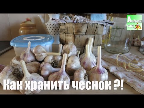 Видео: Как сохранить ЧЕСНОК. Все тайны! / All about garlic storage