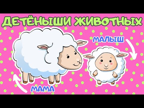 Видео: Домашние животные и их детёныши Развивающее видео для детей