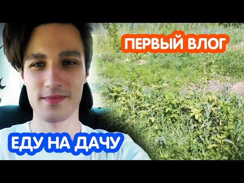 Видео: VLOG Я на даче. Показываю мой огород
