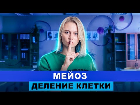 Видео: Деление клетки: Мейоз | ИНТЕНСИВ | Ксения Напольская